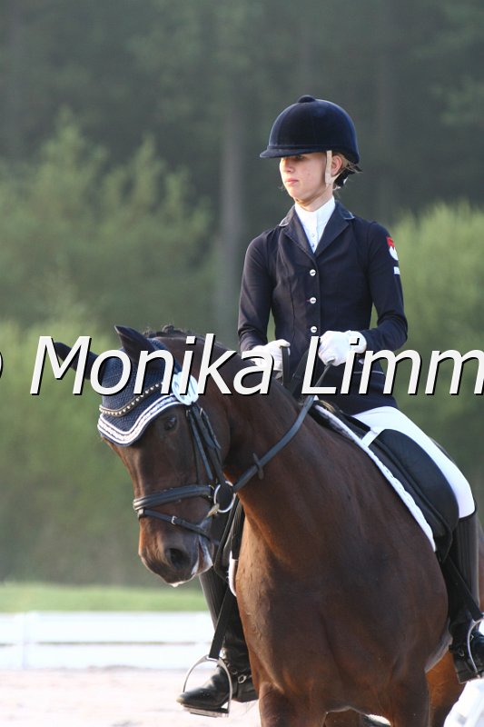 109M5740_Romantic Dream_Dressur L_Mannschaft.JPG